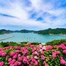 고흥신발