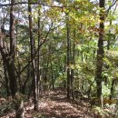 일산3리 이미지