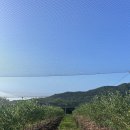 하늘닿은농장 이미지