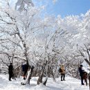 천제단(태백산) 가는 길(1) 이미지