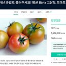 달토 이미지