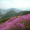 제390차 창원 천주산 정기산행 입니다 이미지