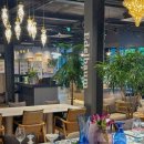 에델바움 이미지