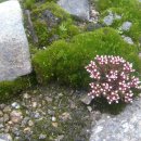 도장골2 이미지