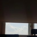 보신정 | [일상] 엄청 오랜만에 써보는 11월 일상 :)
