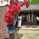 마중게스트하우스