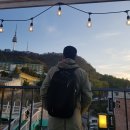 시가지도 | [서울 여행] 서울 남산 산책 (서울 타워, 카페 구할구)