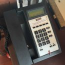 아남세탁 | [나트랑] 깜란 더 아남 리조트 내돈내산 후기 (수영장, 햄버거, 조식, 수질 등)