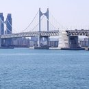 ㈜동백관광 이미지