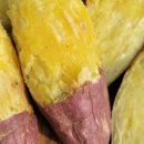 꿀밤농장 이미지