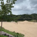 홍삼품은낙지 | [영주여행] 무섬마을 / 주차장, 체류시간 / 낙동강 물줄기 내성천이 흐르는 운치있는 영주의 여행지