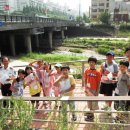 안양중앙초등학교 이미지