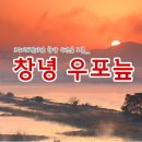 6월 20일 (월요일) [08:00 출발] 경남 창녕 우포늪 둘레길 우항산 이미지