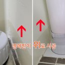 월드수입 이미지