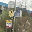 푸르댕댕 이미지