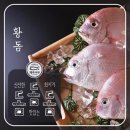 삼춘 이미지