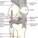 YT 트레이닝센터 이미지