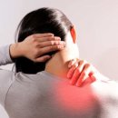 피트니스넘버원 이미지