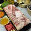 신흥애견센타 이미지