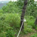 곡성-250 이미지