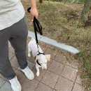 이재룡의 뭉개뭉개 유치원 이미지