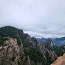 금오산국립공원 케이블카 | 설악산국립공원_설악산케이블카 요금 주차정보 설악산 하루일정