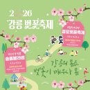 강릉녹색도시체험센터 통합컨벤션동 | 2026 강릉 벚꽃 축제 총정리! 주차 꿀팁부터 커피잔 보트, 벚꽃 숙소 추천까지