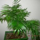 보라여성의원 이미지