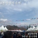 국내여행 추천 논산딸기축제 강풍+인파주의+주차