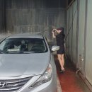 대화미래로셀프세차장 | 일산 24시 셀프 세차장 ‘대화미래로셀프세차장’