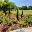 몽마르뜨 이미지