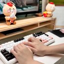 TEN PC | 저소음 키보드 필요할 땐 독거미 F99 내돈내산 후기
