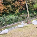 쌍용자동차아산정비센터(주) | 고양 김포 조경시공, 제이엔조경 덕분에 정원이 새 생명을 얻었어요
