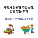 산우 농장 | 세종시 정원형 주말농장, 텃밭 방문 후기(향교재단, 산우농장, 새싹농장)