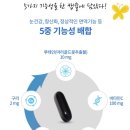 디자인포라이프 | 포라이프 제품 중에 눈건강에 아주 좋은 트랜스퍼팩터 비스타 솔직 후기