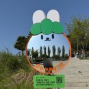보물마켓 | 서울시 당근마켓 콜라보 ‘한강보물찾기런’ (feat. 망원 숏코스 후기)