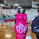 아시아가족마트 | 테를지에서 승마, 독수리 체험 주의사항 및 후기, 몽골 마트 간식 추천, 아리야발 사원, Terelji...