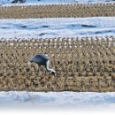 평화마을 이미지