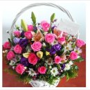 나아약국 이미지