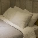 명동세탁 이미지