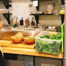 푸디 브라더 이미지