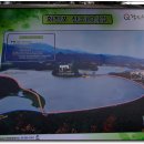 호수와 소나무 이미지