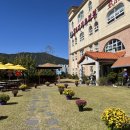 정관버클리유치원 | 정관 무지개유치원, 버클리유치원 입학설명회 후기