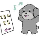 댕냥잇츠 이미지