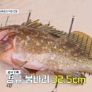 완도어부