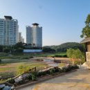 송전매운탕 이미지