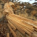 (주)석화 이미지