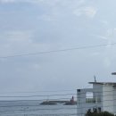 이호로 99 이미지