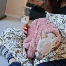 포근하개 | 여수 애견호텔 추천, 여수 애견유치원 &#39;포근하개&#39; 후기 !!