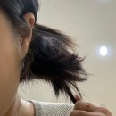 바이화미주 대연점 | 부산미용실 복구펌잘하는곳 바이화미주 대연점 C컬펌후기